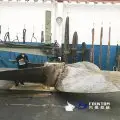hélice grande después del primer mecanizado